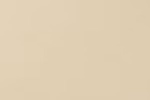 Fawn Bathtub Painting Kit